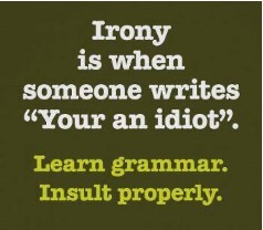 What are homophones? Irony is when someone writes "your an idiot". Learn grammar. Insult Properly.